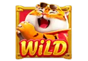 1779438560127.webp