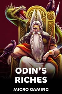 MicroGamingMG_SMG_odinsRiches.jpg