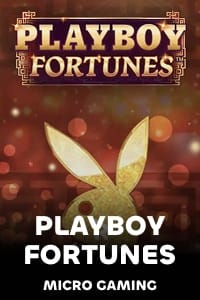 MicroGamingMG_SMG_playboyFortunes.jpg