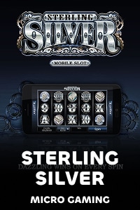 MicroGamingMG_SMG_sterlingSilver.jpg
