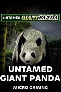 MicroGamingMG_SMG_untamedGiantPanda.jpg