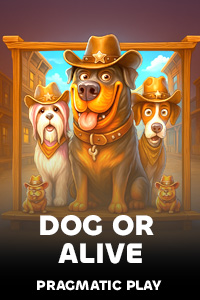 PragmaticPlayPP_vs20doghouse2.jpg