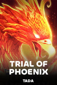 TaDatada_208_phoenix.jpg