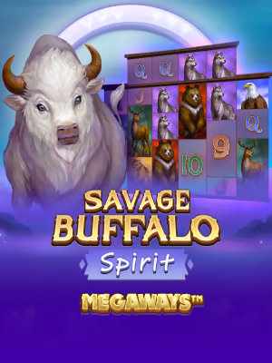 BGamingbg_2167614.jpg