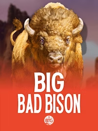 BigTimeGamingEVOBTG_bigbadbisonv1000.jpg