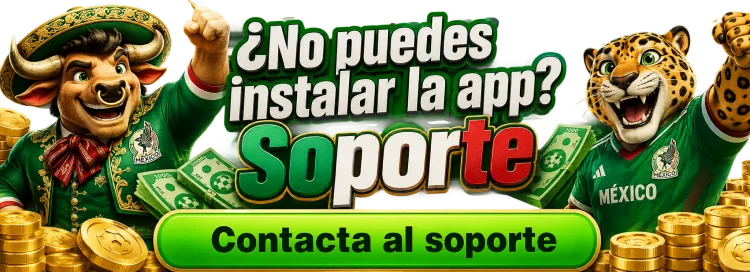 1780485384378.webp