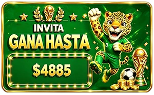 1781087350364.webp