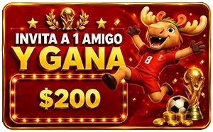 1781087365282.webp