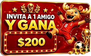 1781145608461.webp