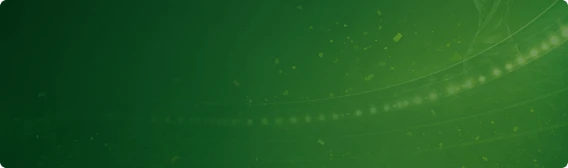 1781184995742.webp