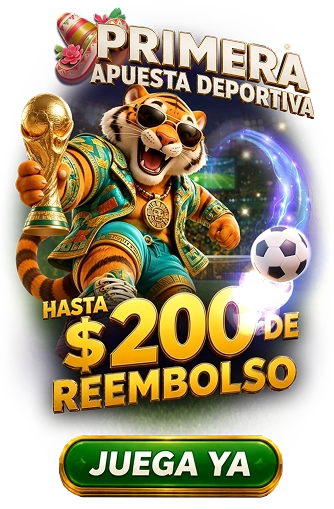 1781362164172.webp