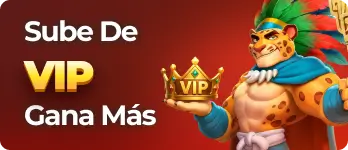1789382078978.webp