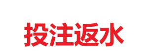 1770083806380.jpg